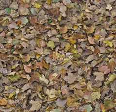 Ковролин ForboFlotex Vision Image 000509 Autumn Leaves Green фото 1 | FLOORDEALER